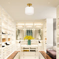 10.25"H Jeanine Globe Ceiling Light in a modern walk-in closet with white shelves, clothing, and a vase with yellow flowers.
