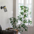 12"H Geo Black Painted Metal Mesh Drum Shade Wall Sconce mounted indoors next to a plant by a window.