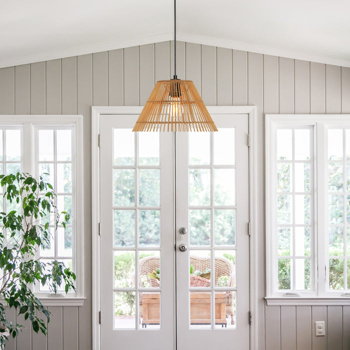 13.25"W Judith Metal Pendant Light with Tan Rattan Shade in a modern interior with a French door and plants.