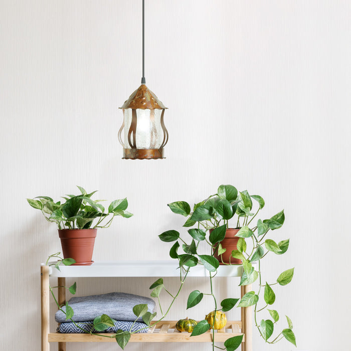 6.25" W 1-Light Betty Metal and Glass Pendant hanging above a wooden shelf with potted plants