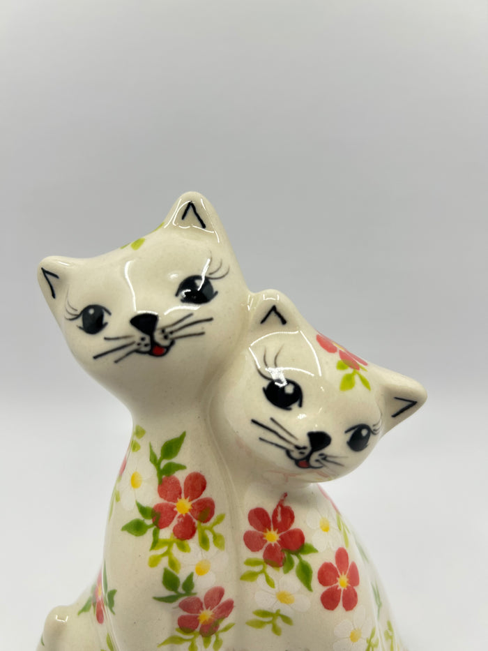 Loving Kittens - Pink Daisy