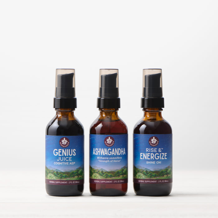 Energy Builder Bundle