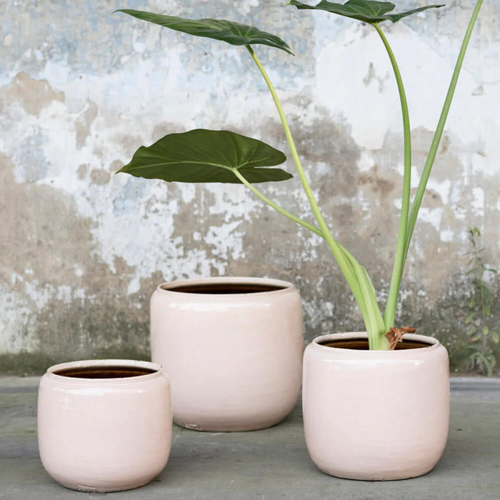 Flower Pot Pink