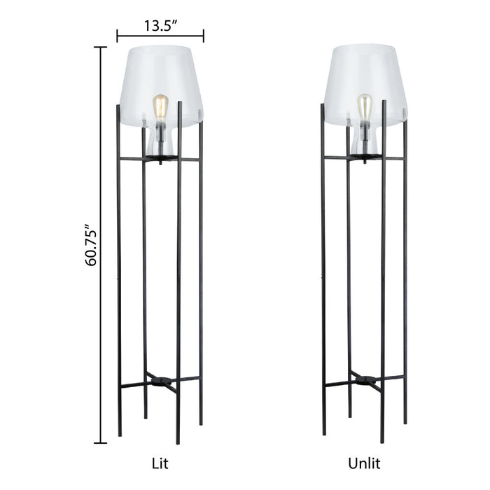 Leticia Black Metal and Clear Glass Bowl 61-Inch Floor Lamp
