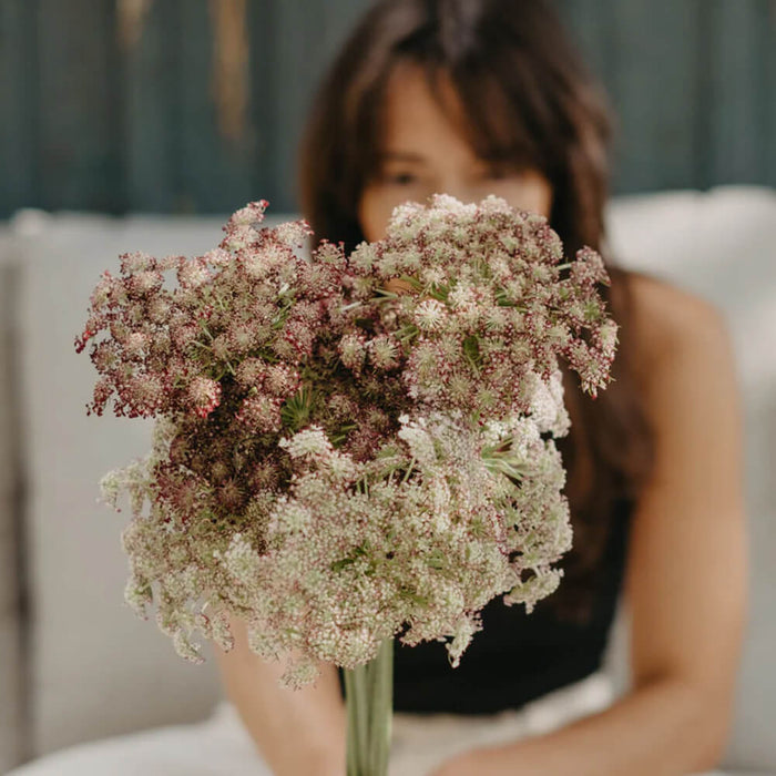 New Botanic - Romantic Bouquet Collection