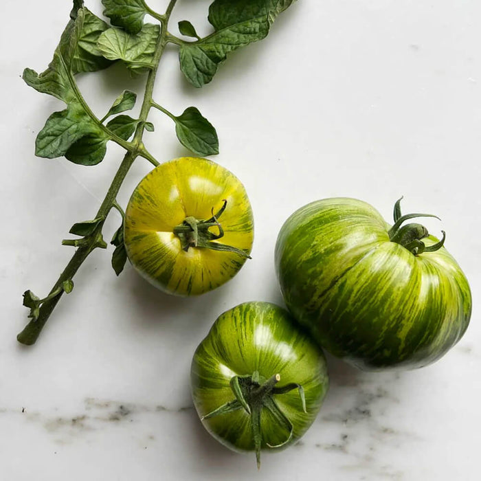 New Botanic - Tomato Tasting Collection