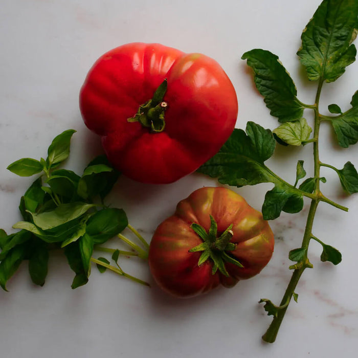 New Botanic - Tomato Tasting Collection