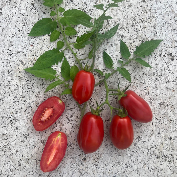 New Botanic - Tomato Tasting Collection