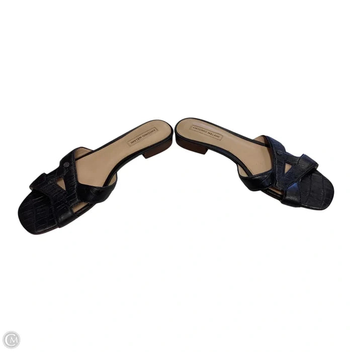 Sandals Flats By Antonio Melani In Black, Size: 8