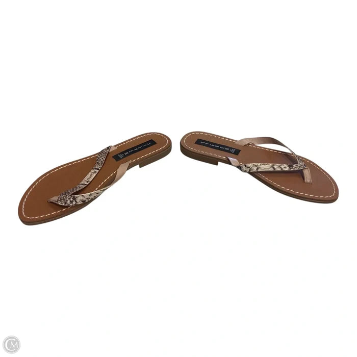 Sandals Flip Flops By Steve Madden In Snakeskin Print, Size: 8