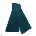 Scarf Long By Clothes Mentor