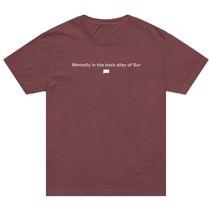 Vanderpump Rules Oversized T-Shirt Sur Back Alley Washed Maroon