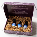 WishGarden Gift Box + Recycled Crinkle Paper